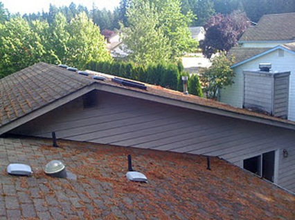 Roof Cleaning Silverdale